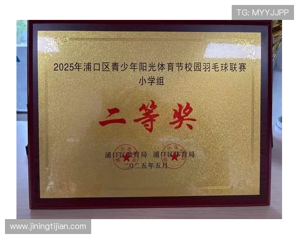 羽毛球战术排行榜揭晓西安羽毛球队荣获第十名成就辉煌